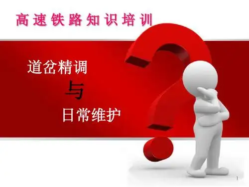 道岔精调与日常维护