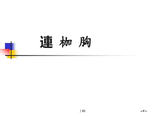 连枷胸 PPT-
