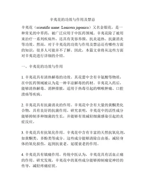 辛夷花的功效与作用及禁忌