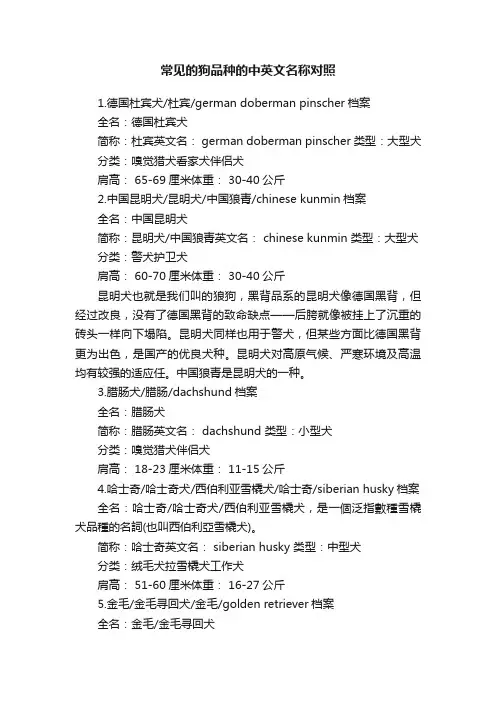 常见的狗品种的中英文名称对照