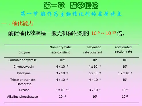 酶学概论1