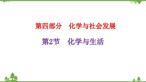 2022年中考化学一轮复习4-2 第2节  化学与生活课件(共46张PPT)
