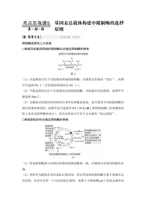 考点加强课5 基因表达载体构建中限制酶的选择原则.doc