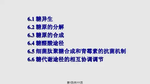 ch糖异生和糖原代谢PPT课件