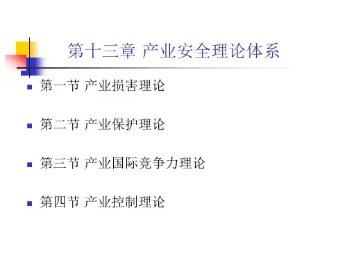 高教社产业经济学(第三版) 李孟刚教学课件第13章