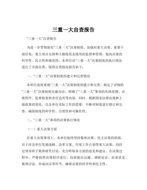 三重一大自查报告