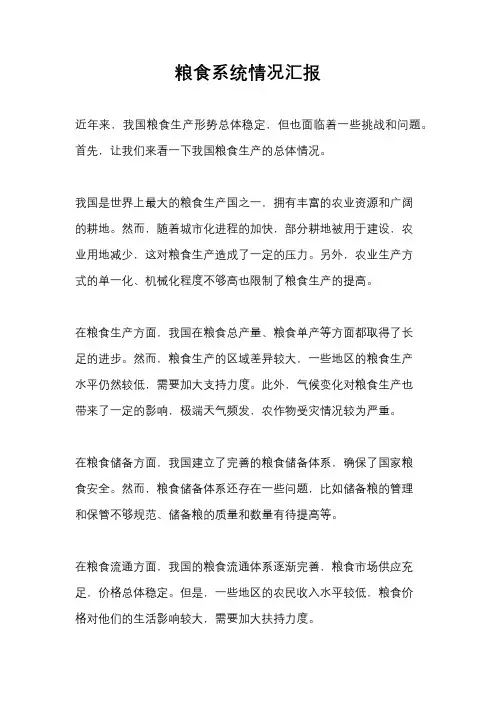 粮食系统情况汇报
