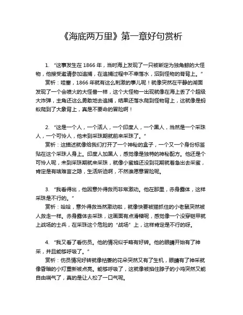 《海底两万里》第一章好句赏析