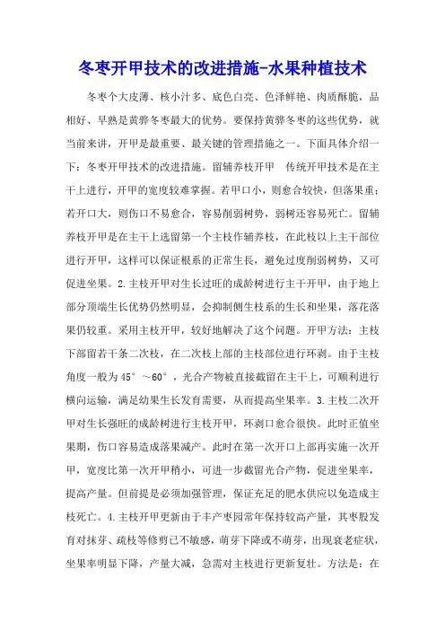 冬枣开甲技术的改进措施 - 水果种植技术