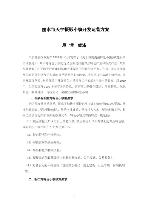 丽水天宁摄影小镇开发运营方案