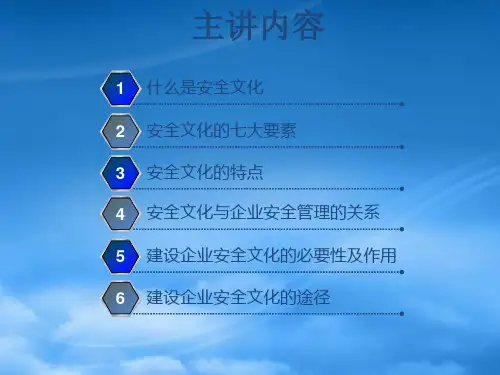 企业安全文化的建立PPT40页