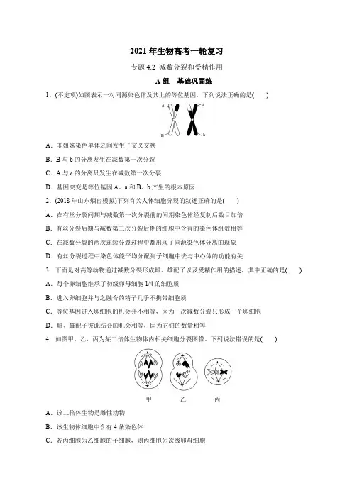 高中生物高考4 2 减数分裂和受精作用(必刷试题)-2021年高考生物大一轮复习紧跟教材(原卷版)