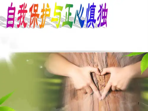 班主任主题班会课件：中学生法制教育讲座(共24张PPT)