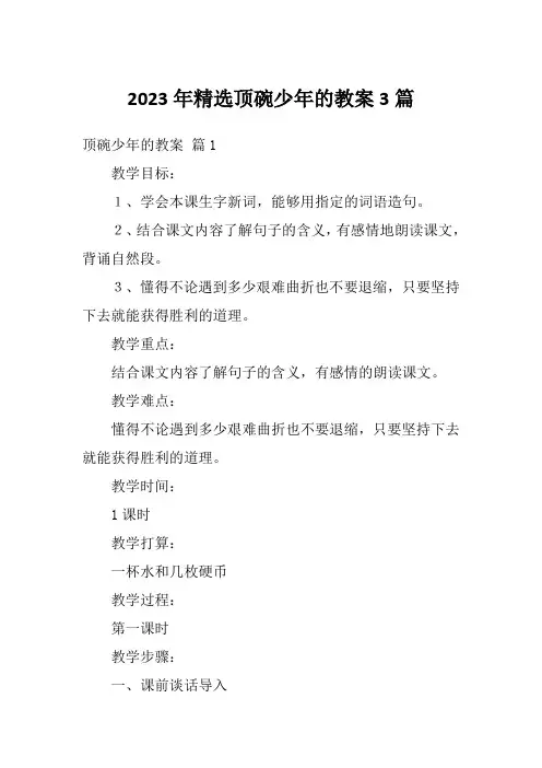 2023年精选顶碗少年的教案3篇