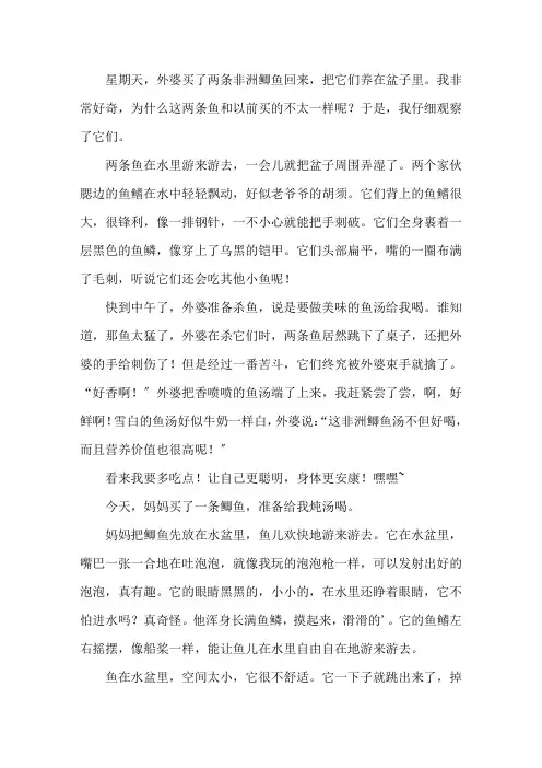 鲫鱼小学作文1精选