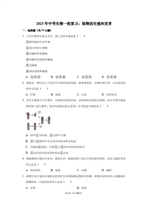 2025年中考生物一轮复习：植物的生殖和发育 (附答案解析)