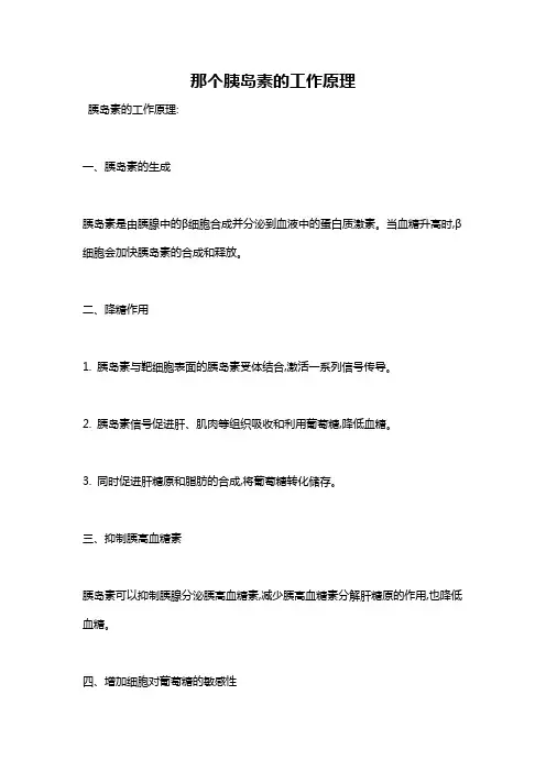 那个胰岛素的工作原理