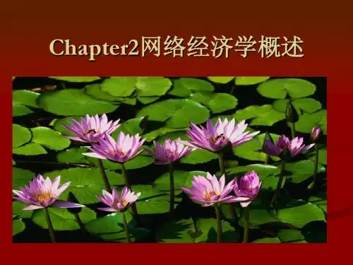 第2章网络经济学概述