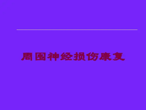周围神经损伤康复培训课件