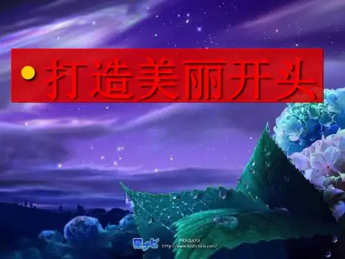 打造美丽开头 PPT课件 2