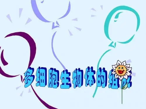 总复习：单细胞与多细胞生物