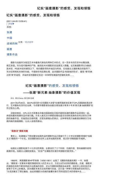 纪实“画意摄影”的感受、发现和领悟