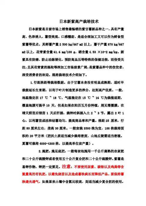 紫薯高产栽培技