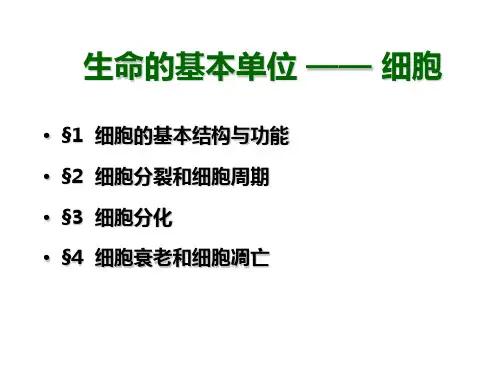 生命的基本结构——细胞