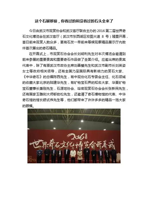 这个石展够狠，你看过的和没看过的石头全来了