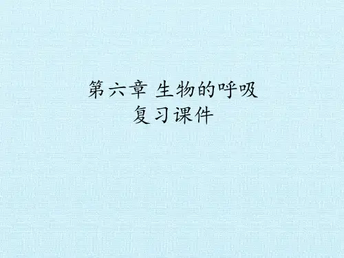 北京版初中初一七年级下册生物：第六章 生物的呼吸 复习课件