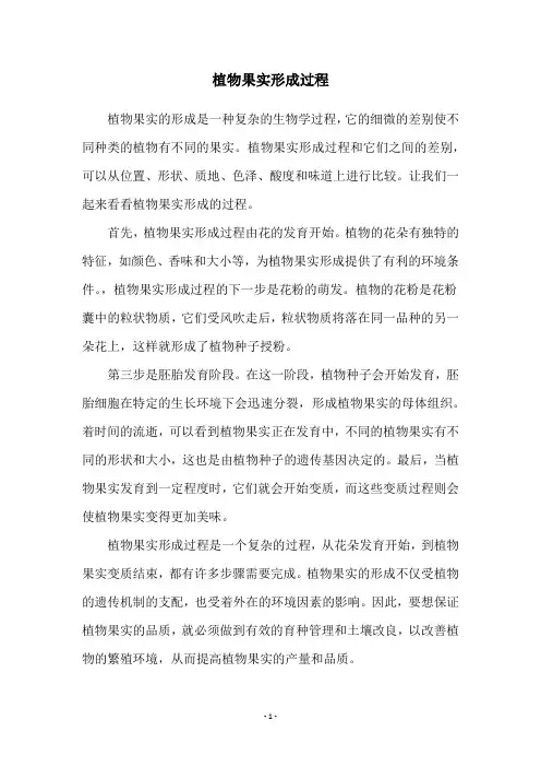 植物果实形成过程