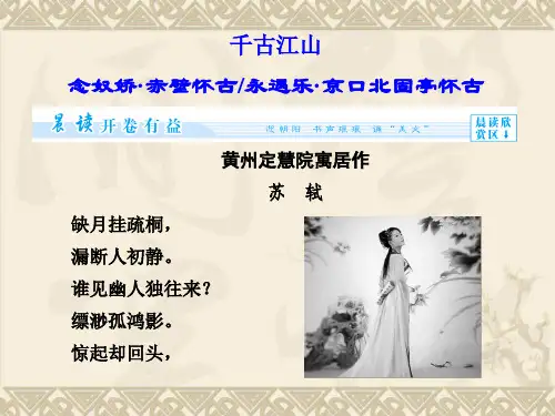 高中语文必修二第三专题历史的回声ppt(12份) 苏教版1