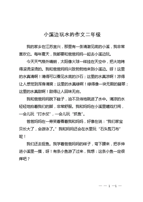 小溪边玩水的作文二年级