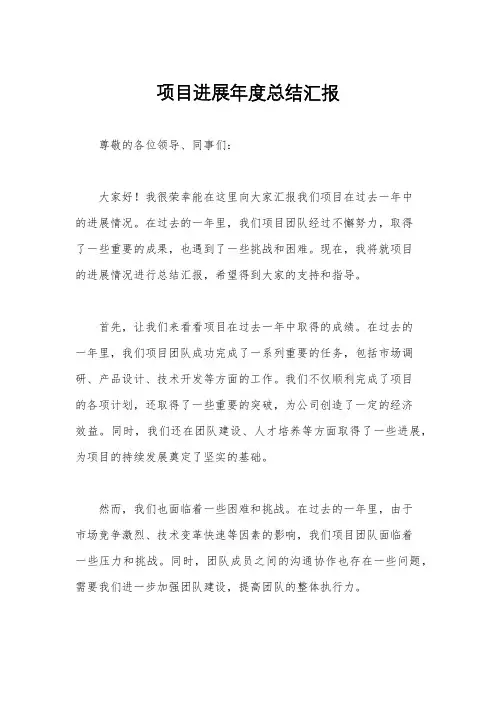 项目进展年度总结汇报
