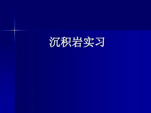 地质大矿物学实习课件04沉积岩实习