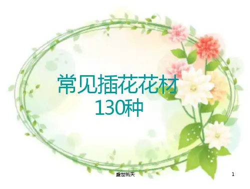 常见插花花材种