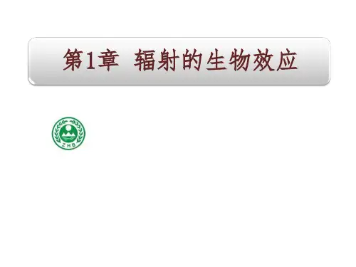 辐射的生物效应ppt课件