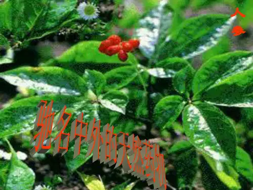 天然药物化学PPT课件