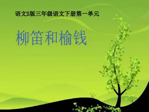 《柳笛和榆钱》ppt课件(4篇)