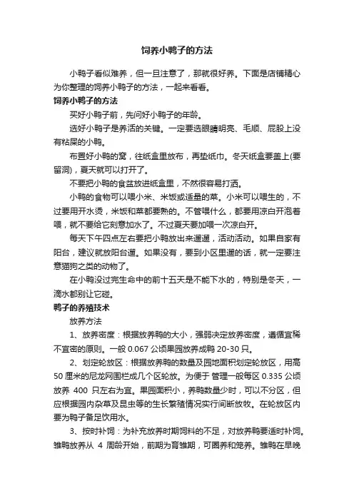 饲养小鸭子的方法