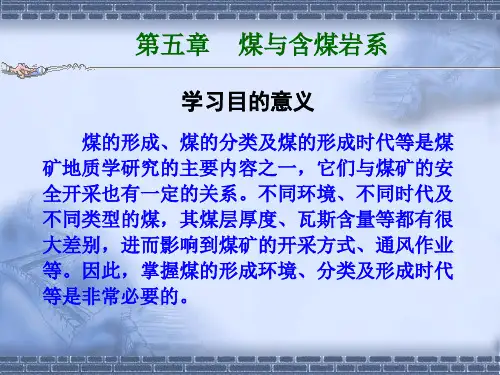 5煤与含煤岩系解析