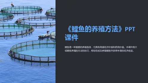 《鲤鱼的养殖方法》课件