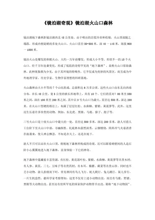 《镜泊湖奇观》镜泊湖火山口森林