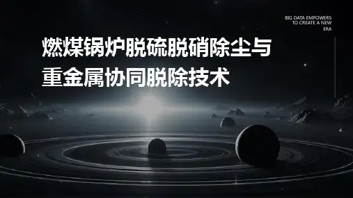 燃煤锅炉脱硫脱硝除尘与重金属协同脱除技术