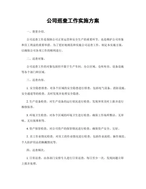 公司巡查工作实施方案