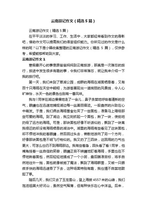 云南游记作文（精选5篇）