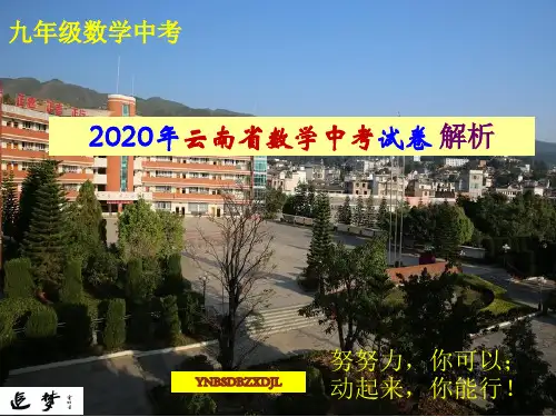 2020年云南省数学中考试卷(省卷)分析与评讲