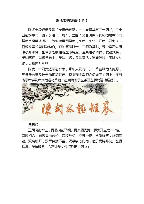 陈氏太极短拳（全）