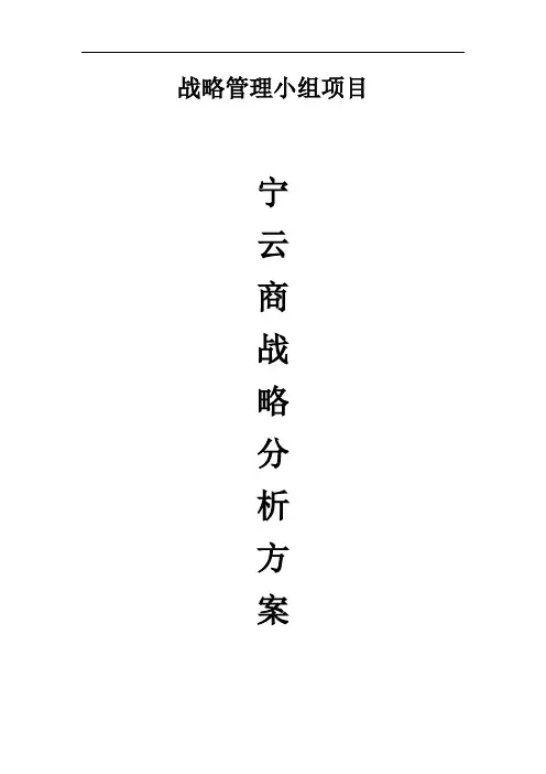 战略管理系统苏宁分析资料报告