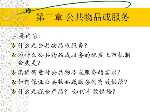 公共经济学第三章公共物品或服务